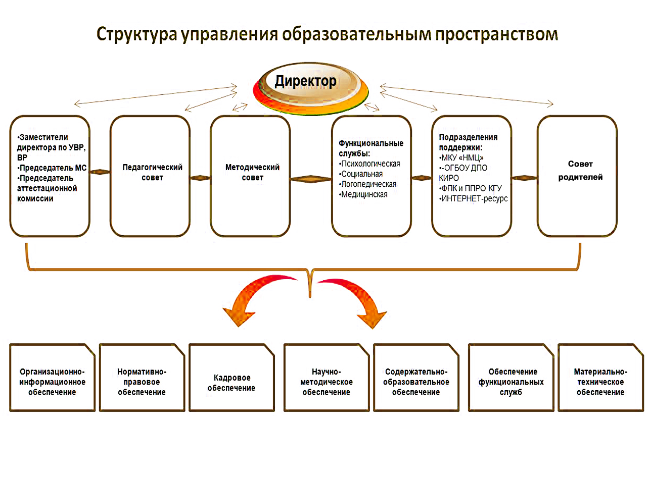 структура  управления